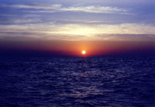  Paseo en barco por la costa 